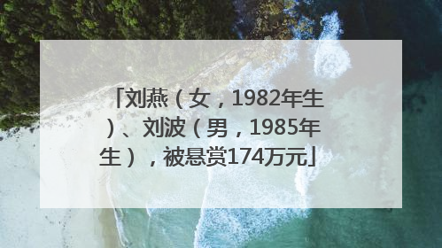 刘燕（女，1982年生）、刘波（男，1985年生），被悬赏174万元