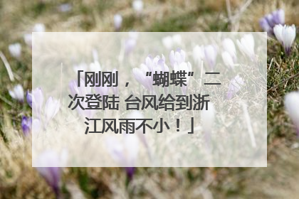 刚刚，“蝴蝶”二次登陆 台风给到浙江风雨不小！