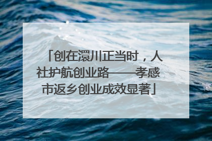 创在澴川正当时，人社护航创业路——孝感市返乡创业成效显著