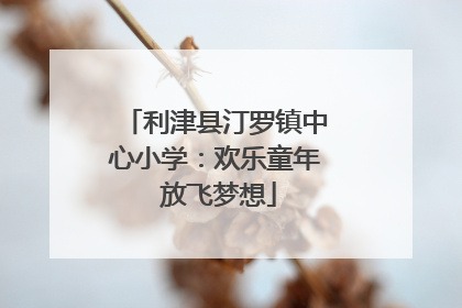 利津县汀罗镇中心小学：欢乐童年 放飞梦想