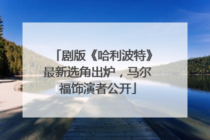 剧版《哈利波特》最新选角出炉，马尔福饰演者公开