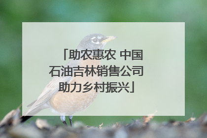 助农惠农 中国石油吉林销售公司助力乡村振兴