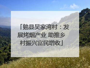 勉县吴家湾村：发展烤烟产业 助推乡村振兴富民增收