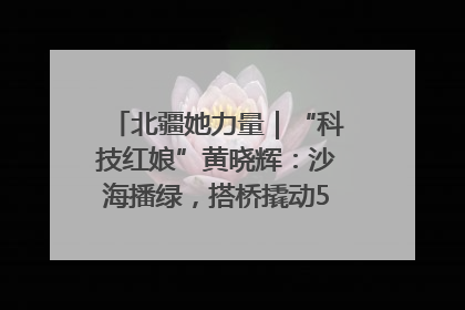 北疆她力量｜“科技红娘”黄晓辉：沙海播绿，搭桥撬动5.3亿研发