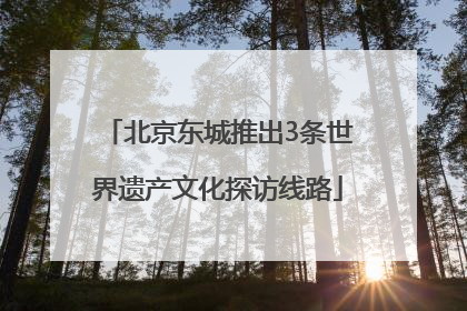 北京东城推出3条世界遗产文化探访线路