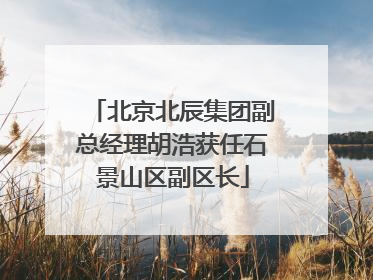 北京北辰集团副总经理胡浩获任石景山区副区长