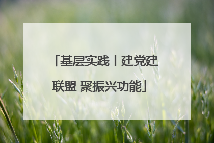 基层实践丨建党建联盟 聚振兴功能