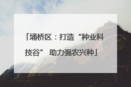 埇桥区：打造“种业科技谷” 助力强农兴种