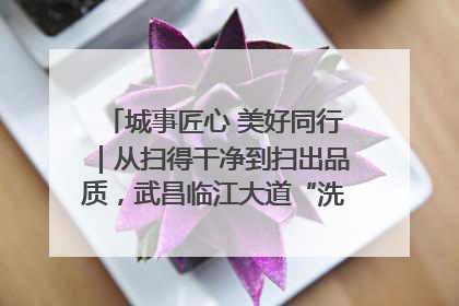 城事匠心 美好同行｜从扫得干净到扫出品质，武昌临江大道“洗”出洁净样板路