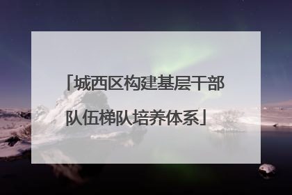 城西区构建基层干部队伍梯队培养体系