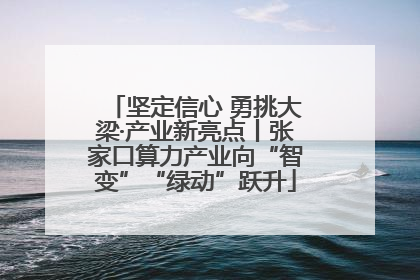 坚定信心 勇挑大梁·产业新亮点丨张家口算力产业向“智变”“绿动”跃升
