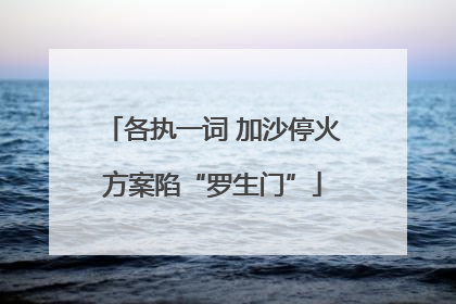 各执一词 加沙停火方案陷“罗生门”