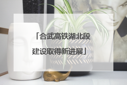 合武高铁湖北段建设取得新进展