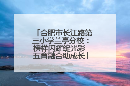 合肥市长江路第三小学兰亭分校：榜样闪耀绽光彩 五育融合助成长