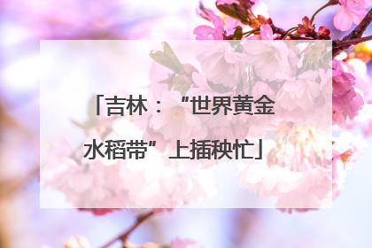 吉林：“世界黄金水稻带”上插秧忙