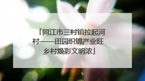 同江市三村镇拉起河村——田园织锦产业旺 乡村焕彩文明浓