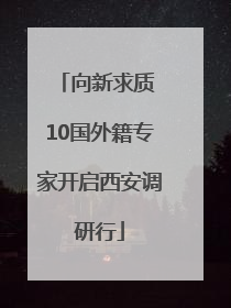 向新求质 10国外籍专家开启西安调研行