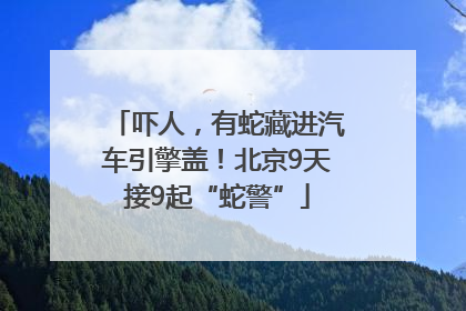 吓人，有蛇藏进汽车引擎盖！北京9天接9起“蛇警”