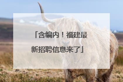 含编内！福建最新招聘信息来了
