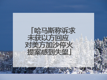 哈马斯称诉求未获以方回应 对美方加沙停火提案感到失望
