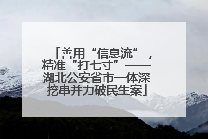 善用“信息流”，精准“打七寸”——湖北公安省市一体深挖串并力破民生案