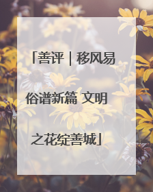善评｜移风易俗谱新篇 文明之花绽善城