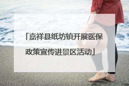 嘉祥县纸坊镇开展医保政策宣传进景区活动