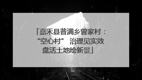 嘉禾县普满乡曾家村：“空心村” 治理见实效 盘活土地绘新景