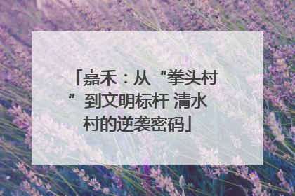 嘉禾：从“拳头村”到文明标杆 清水村的逆袭密码