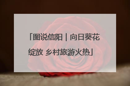 图说信阳｜向日葵花绽放 乡村旅游火热