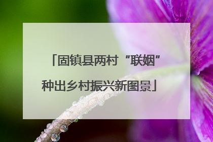 固镇县两村“联姻”种出乡村振兴新图景