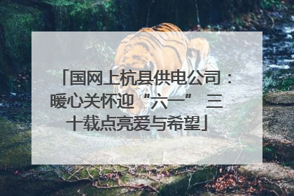 国网上杭县供电公司：暖心关怀迎“六一” 三十载点亮爱与希望