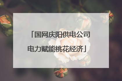 国网庆阳供电公司电力赋能桃花经济