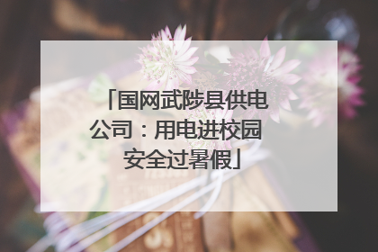 国网武陟县供电公司：用电进校园  安全过暑假