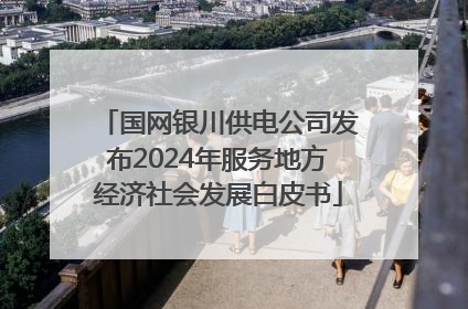 国网银川供电公司发布2024年服务地方经济社会发展白皮书