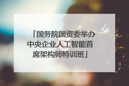 国务院国资委举办中央企业人工智能首席架构师特训班