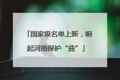 国家级名单上新，响起河南保护“曲”