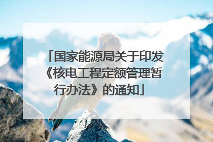 国家能源局关于印发《核电工程定额管理暂行办法》的通知