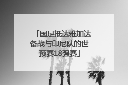 国足抵达雅加达备战与印尼队的世预赛18强赛
