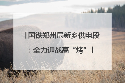 国铁郑州局新乡供电段：全力迎战高“烤”