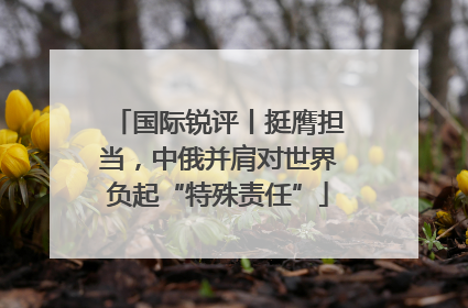 国际锐评丨挺膺担当，中俄并肩对世界负起“特殊责任”