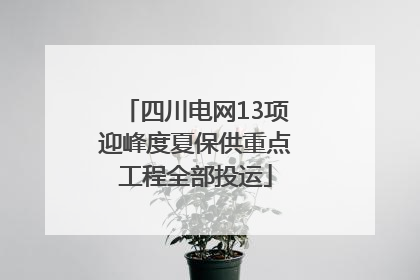 四川电网13项迎峰度夏保供重点工程全部投运