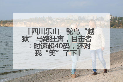 四川乐山一鸵鸟“越狱”马路狂奔，目击者：时速超40码，还对我“笑”了下