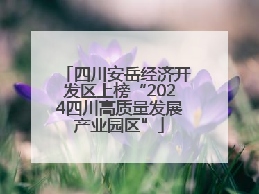 四川安岳经济开发区上榜“2024四川高质量发展产业园区”