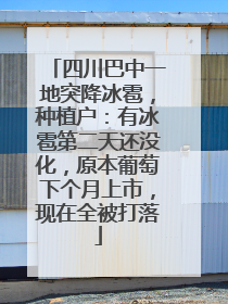 四川巴中一地突降冰雹，种植户：有冰雹第二天还没化，原本葡萄下个月上市，现在全被打落