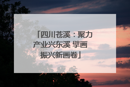 四川苍溪：聚力产业兴东溪 擘画振兴新画卷