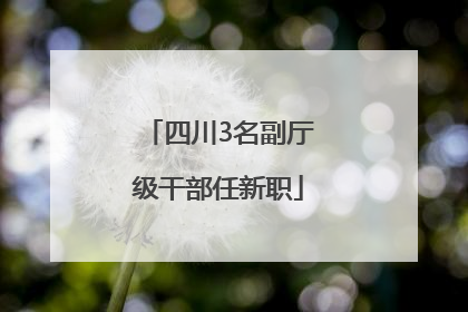 四川3名副厅级干部任新职