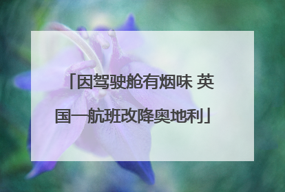 因驾驶舱有烟味 英国一航班改降奥地利