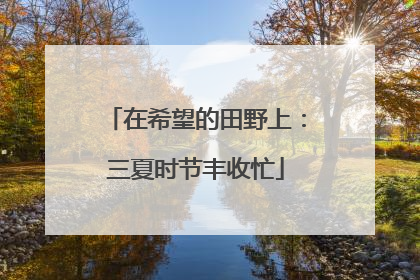 在希望的田野上：三夏时节丰收忙