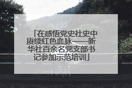 在感悟党史社史中赓续红色血脉——新华社百余名党支部书记参加示范培训